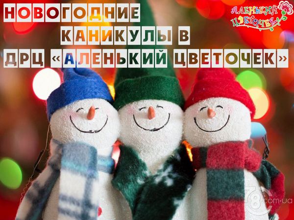 Новогодние каникулы в ДРЦ «Аленький Цветочек»