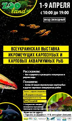 Всеукраинская выставка карпозубых и карповых аквариумных рыб