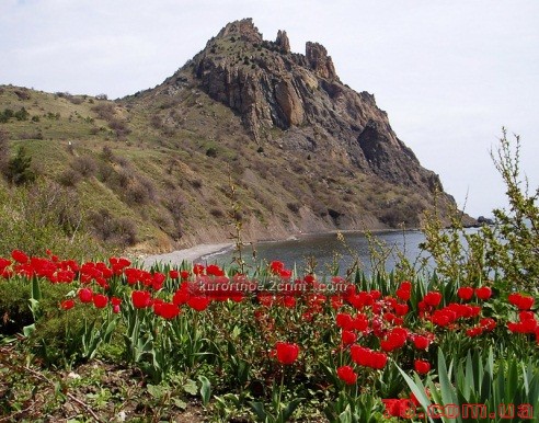Йога - тур в Крым на майские праздники!!!